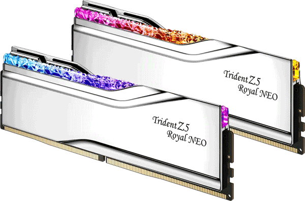 Модуль пам’яті G.Skill Trident Z5 Royal Neo 64GB (2x32) DDR5 6000MHz AMD EXPO (F5-6000J3036G32GX2-TR5NS)